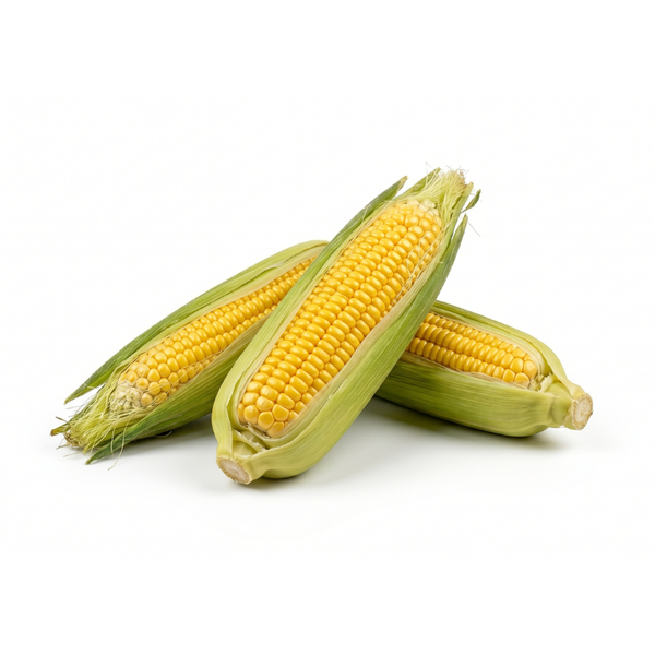 HBCD carbohydrate